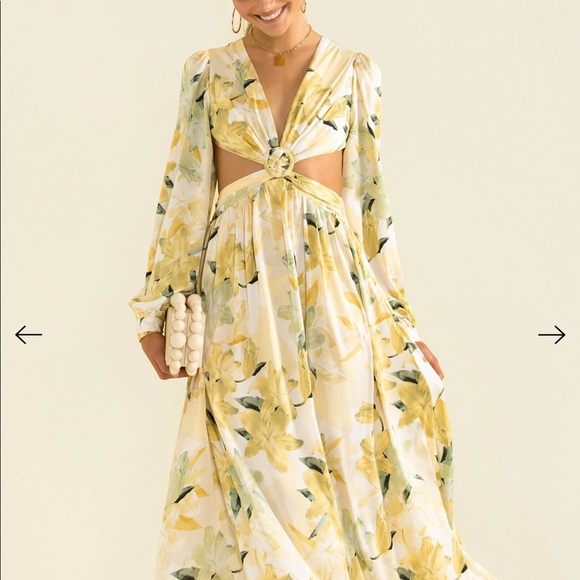 Hello Molly Dresses & Skirts - Hello Molly Dress